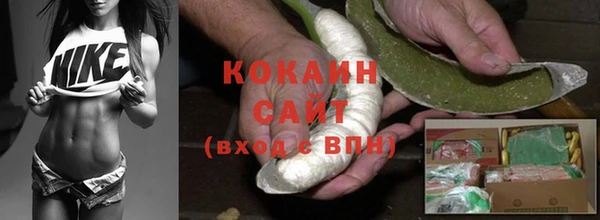кокс Алзамай
