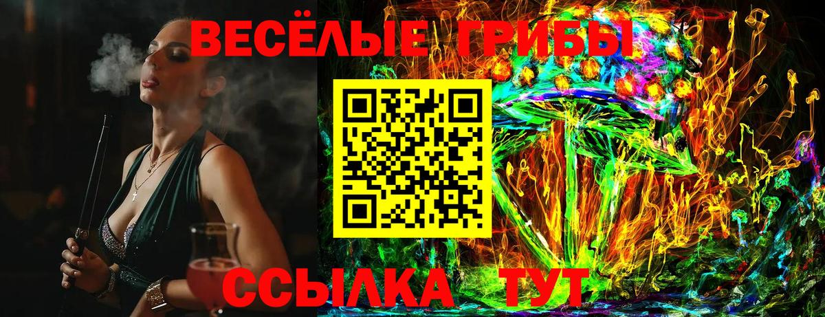 Галлюциногенные грибы мухоморы  Вход с VPN  Новозыбков 